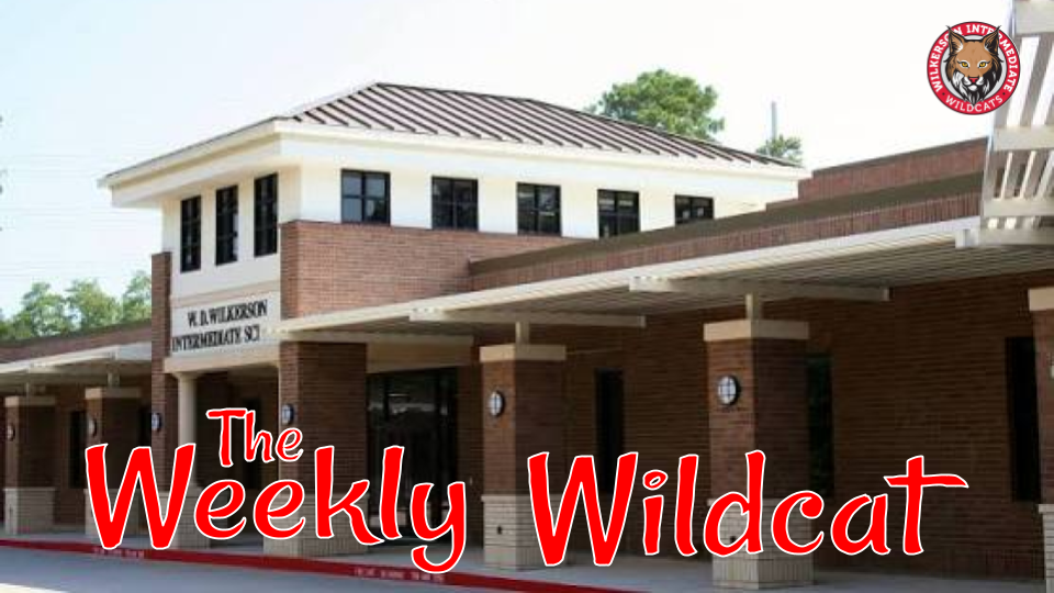 Weekly Wildcat Header