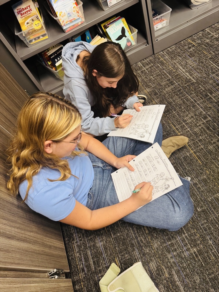 6th Grade ELA Stations