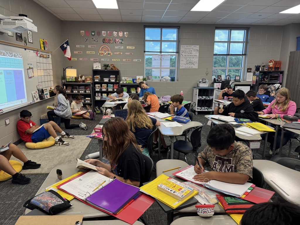 6th Grade ELA Stations