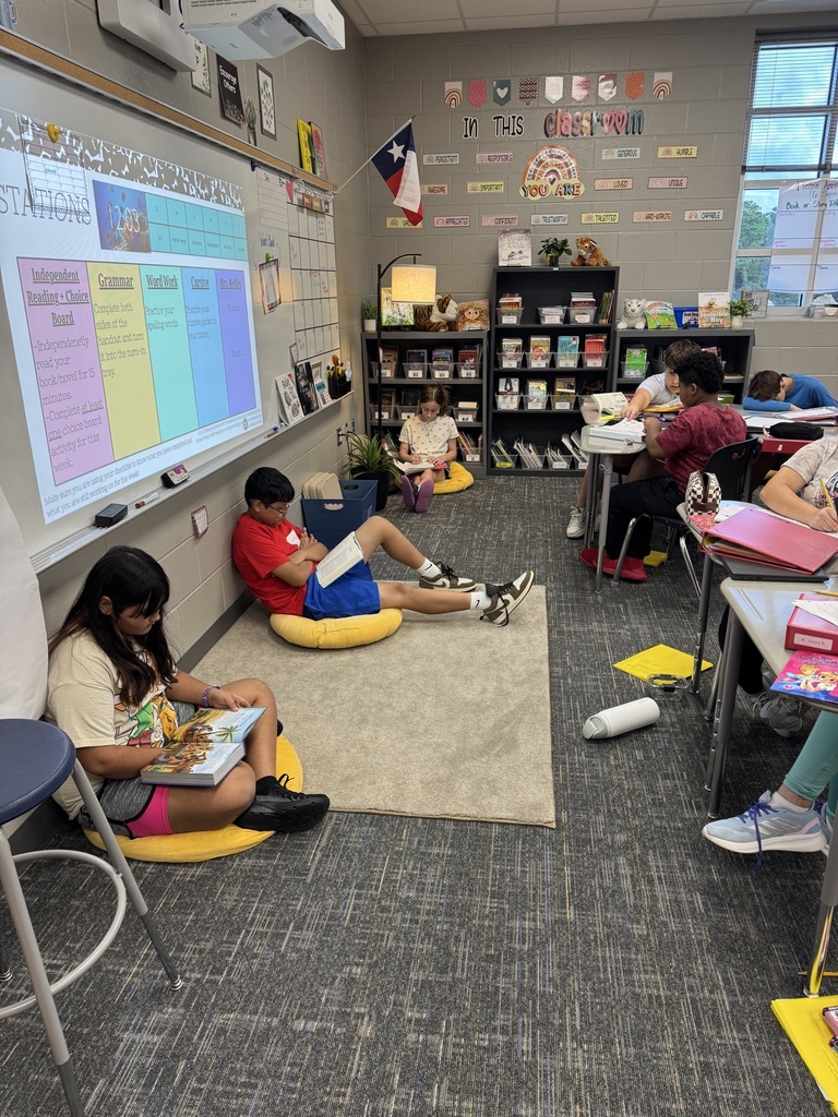 6th Grade ELA Stations