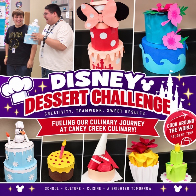 Disney challenge
