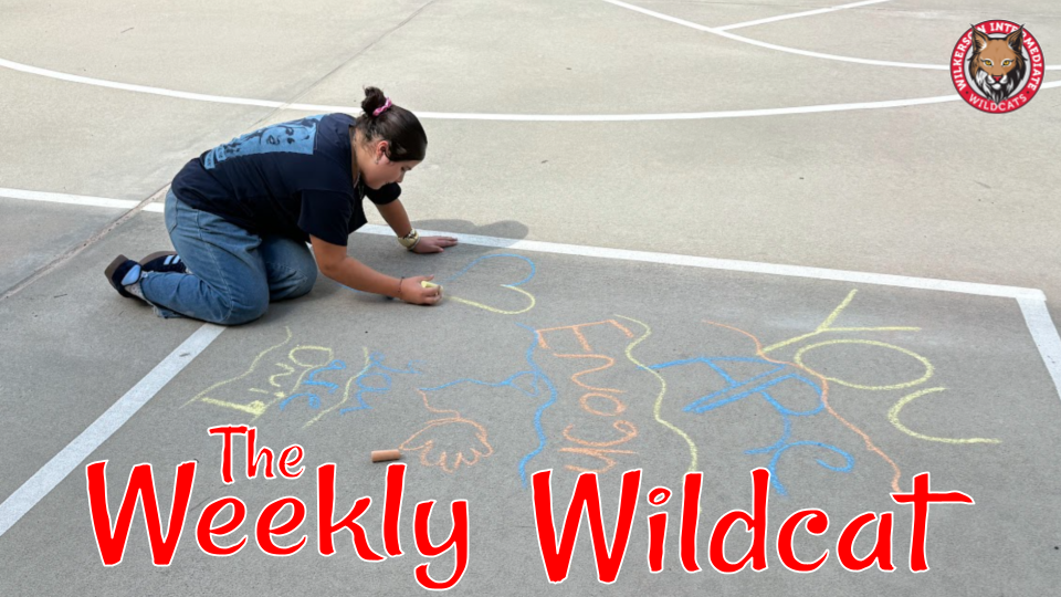 Weekly Wildcat Header