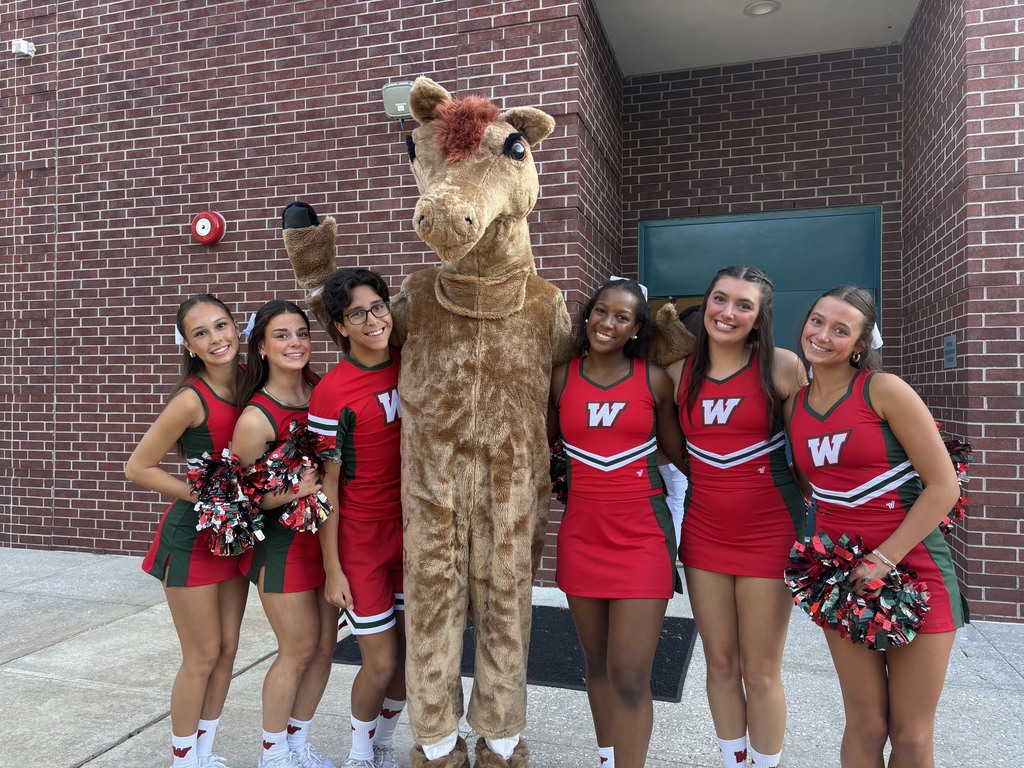 cheer
