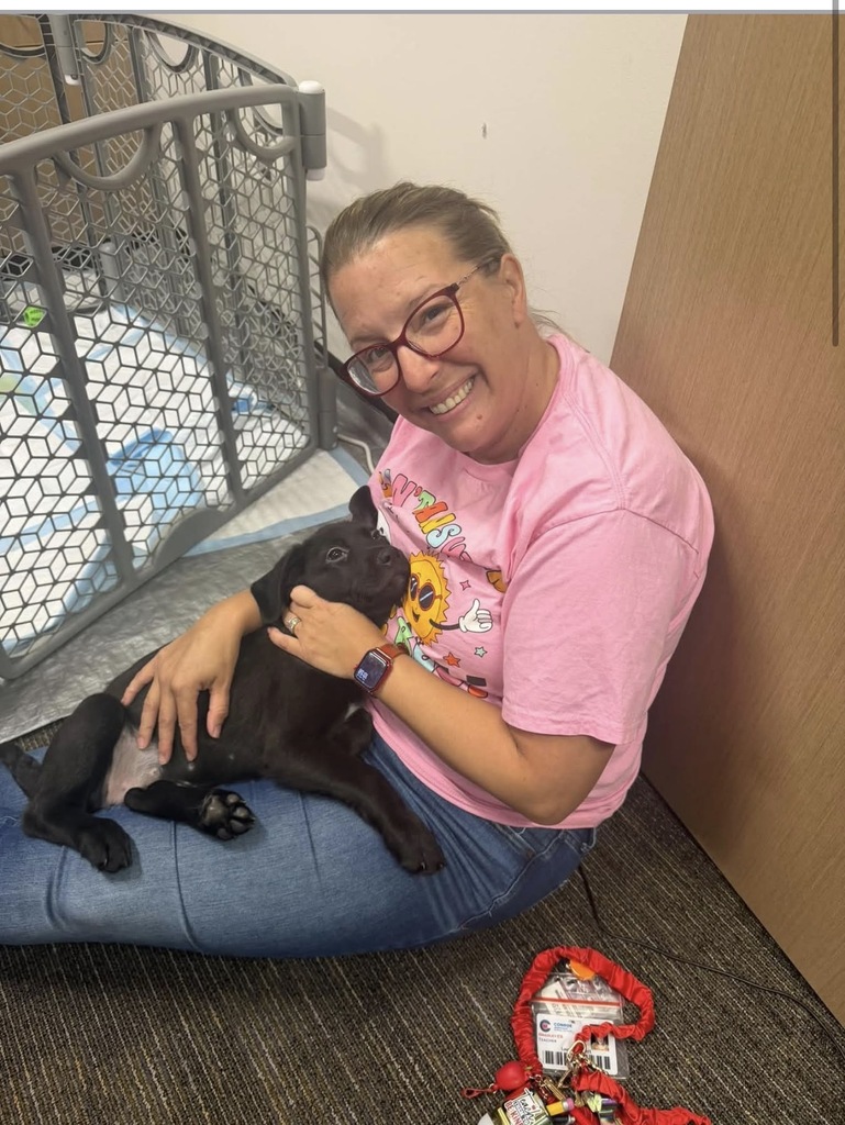 Teachers and puppies!