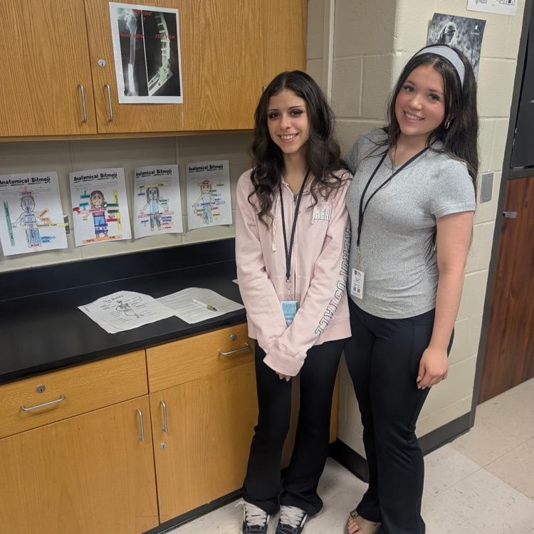 Freshman Med Terms students analyzing patient X-rays for skeleton system injuries.