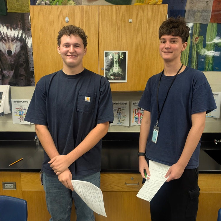 Freshman Med Terms students analyzing patient X-rays for skeleton system injuries.