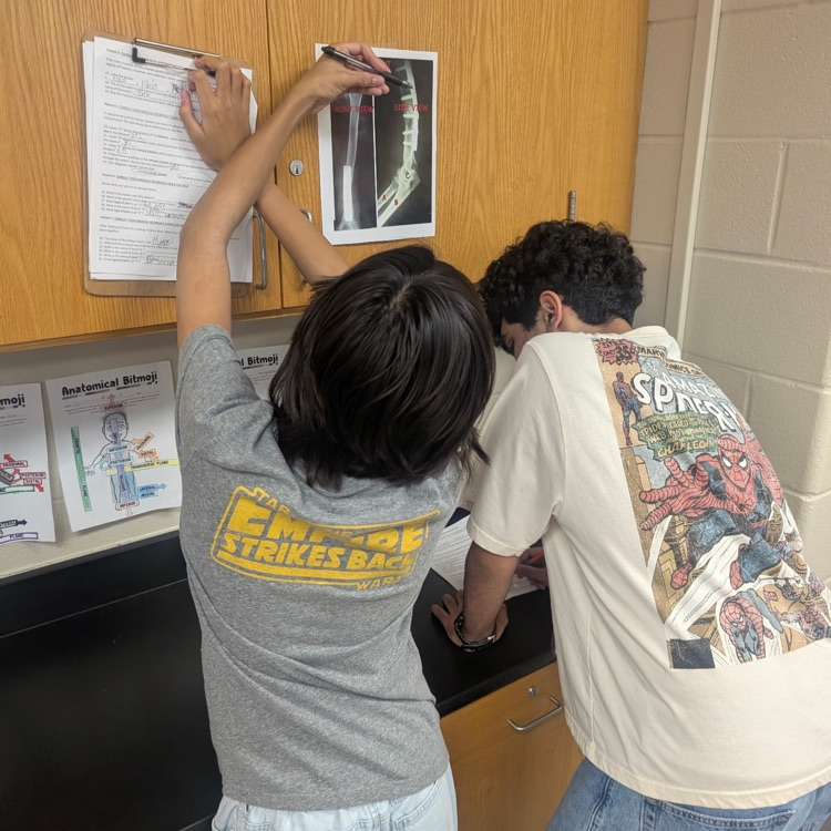 Freshman Med Terms students analyzing patient X-rays for skeleton system injuries.