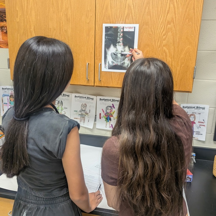 Freshman Med Terms students analyzing patient X-rays for skeleton system injuries.