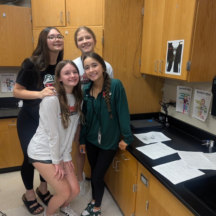 Freshman Med Terms students analyzing patient X-rays for skeleton system injuries.