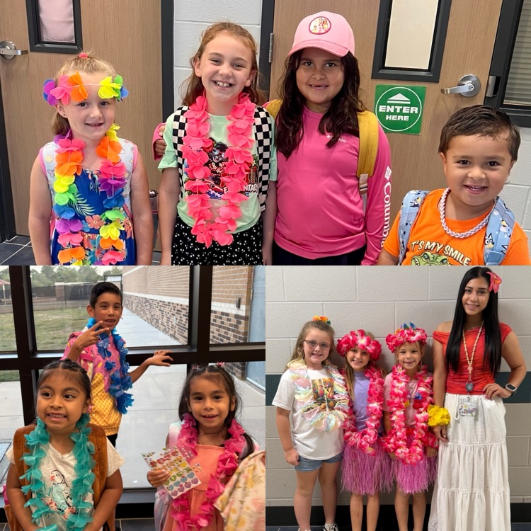 surfin safari dress up for students 