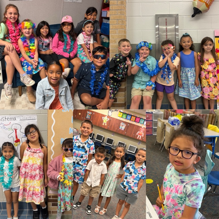 surfin safari dress up for students 