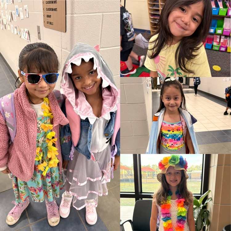 surfin safari dress up for students 