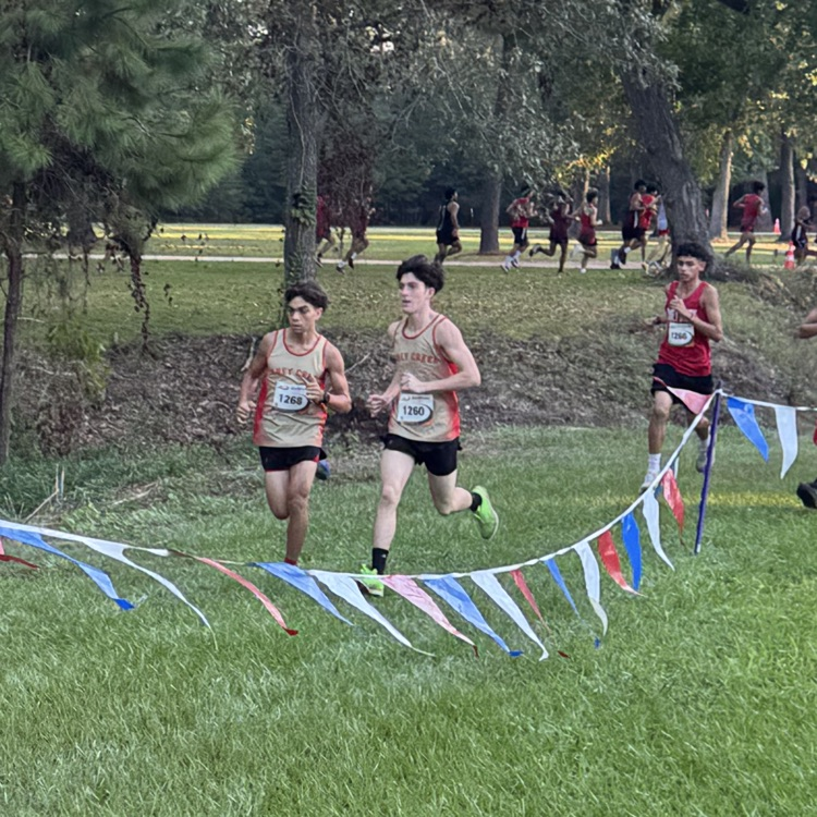 cross country runners competing