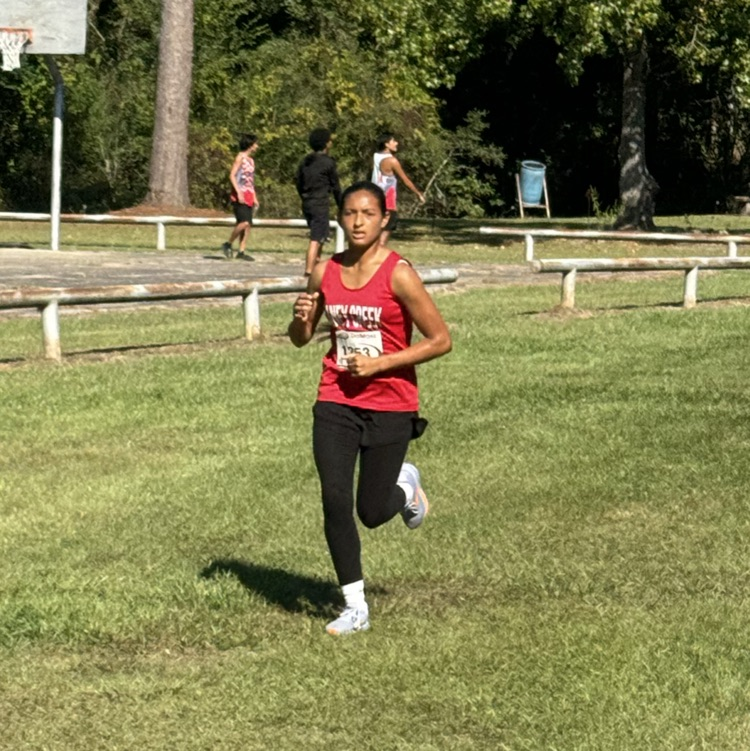 cross country runners competing