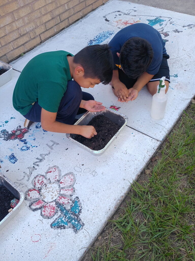 Garden group planting seeds and making their own mini gardens