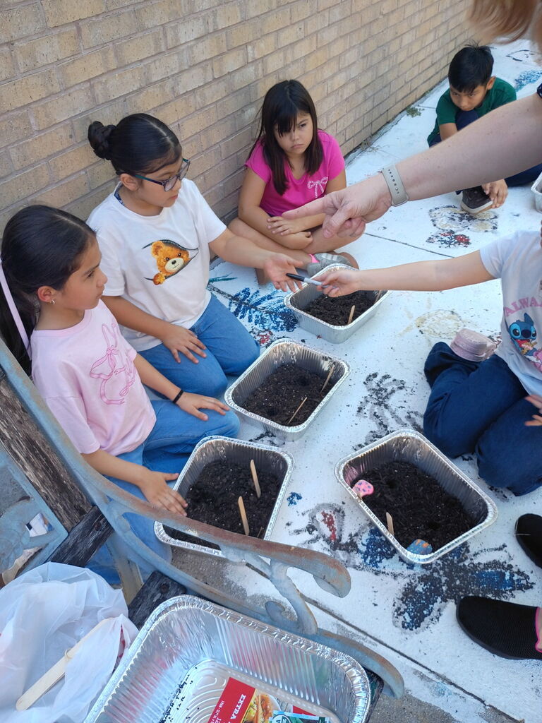 Garden group planting seeds and making their own mini gardens