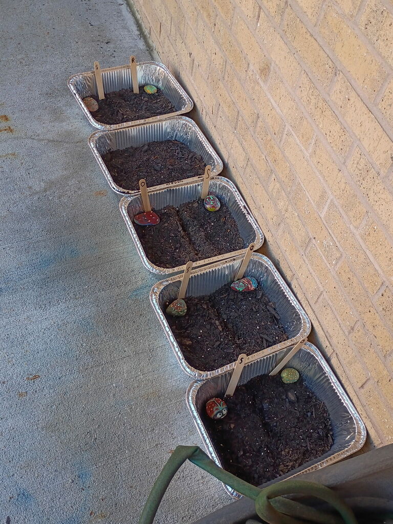 Garden group planting seeds and making their own mini gardens