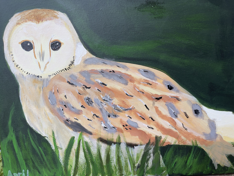 Painting of a barn owl