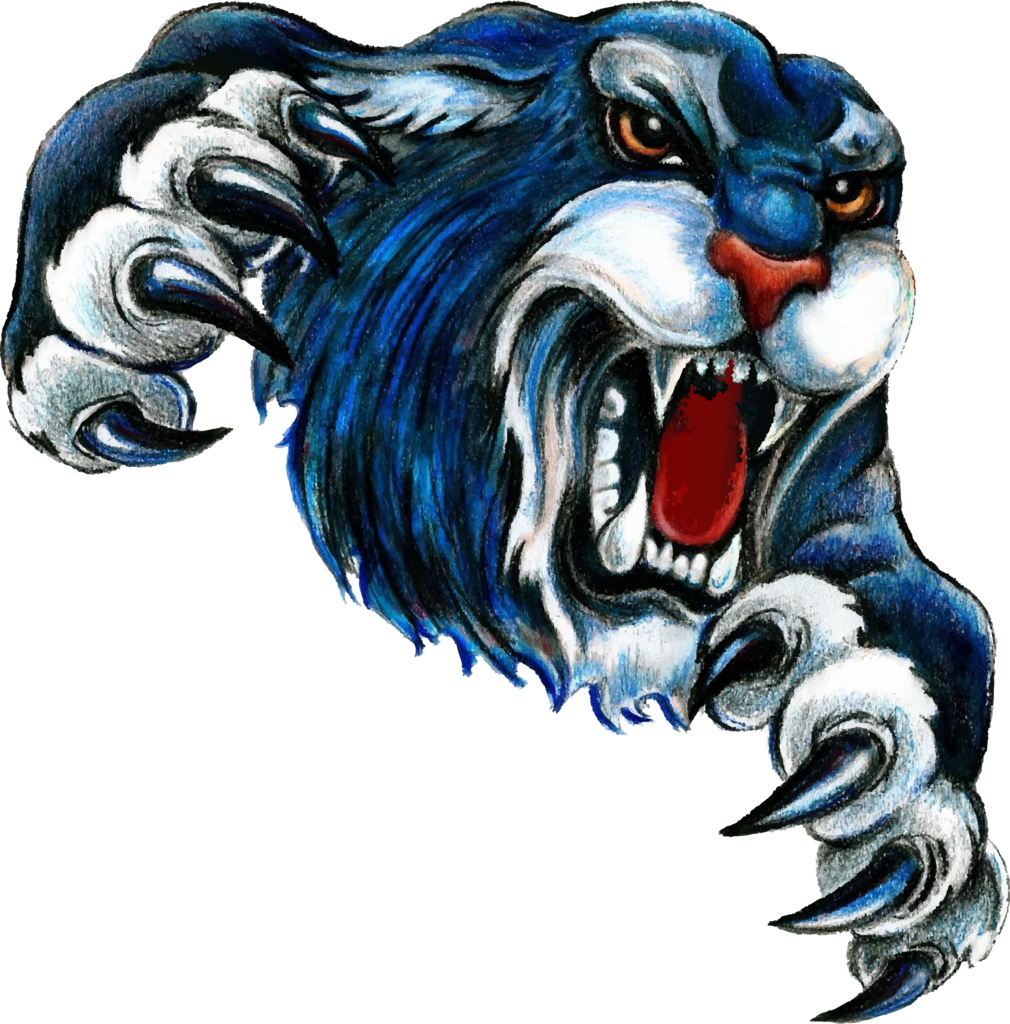 Bearcats