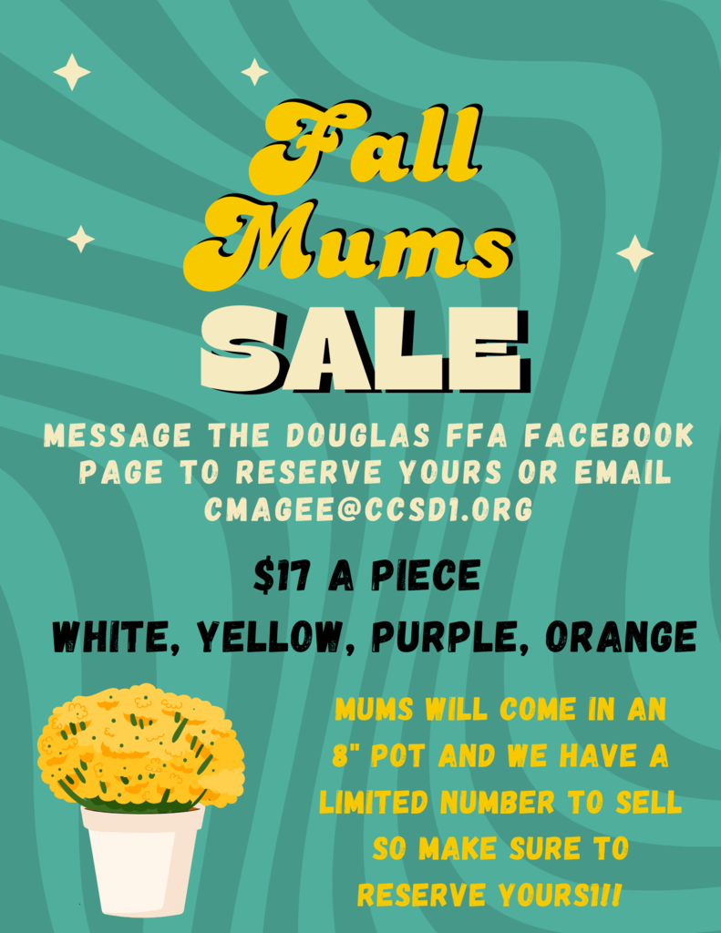 FFA Mums Sale