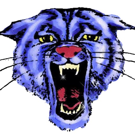 Bearcat 