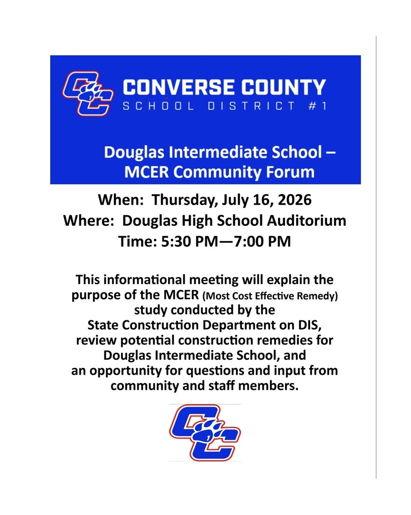 DIS MCER Flyer