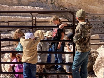 Students in a paneled corral learning