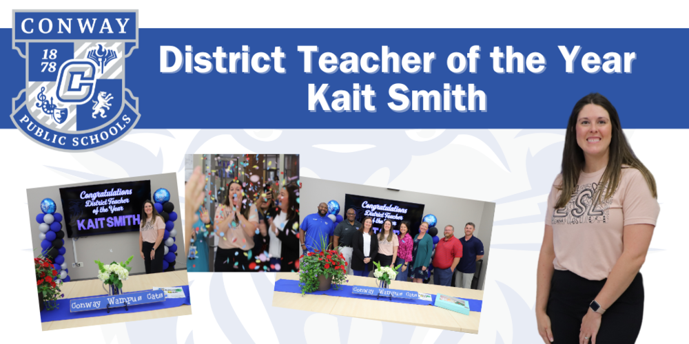 district teacher of the year graphic