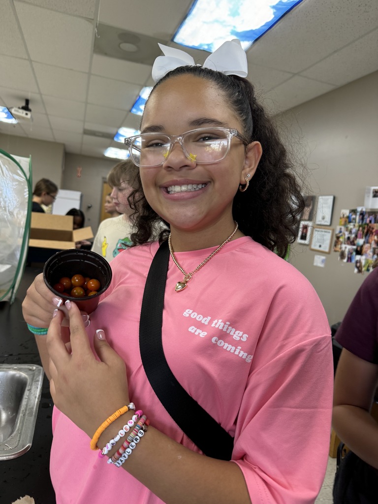 Students are studying caterpillars and butterflies