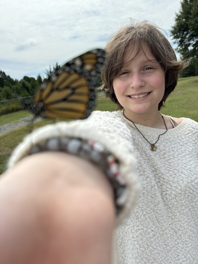 Students are studying caterpillars and butterflies