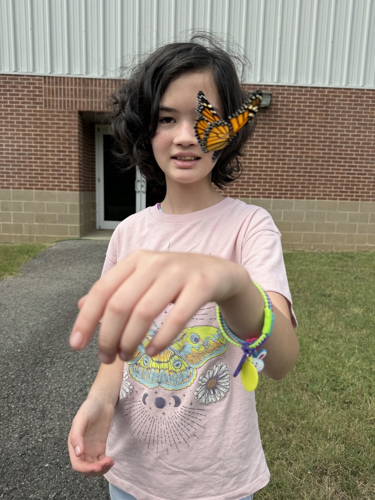 Students are studying caterpillars and butterflies