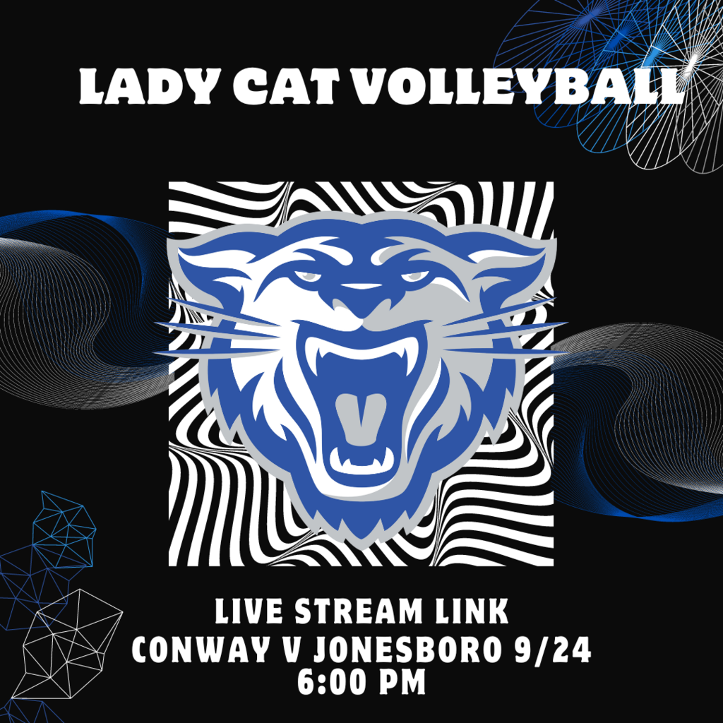 Live Stream Link