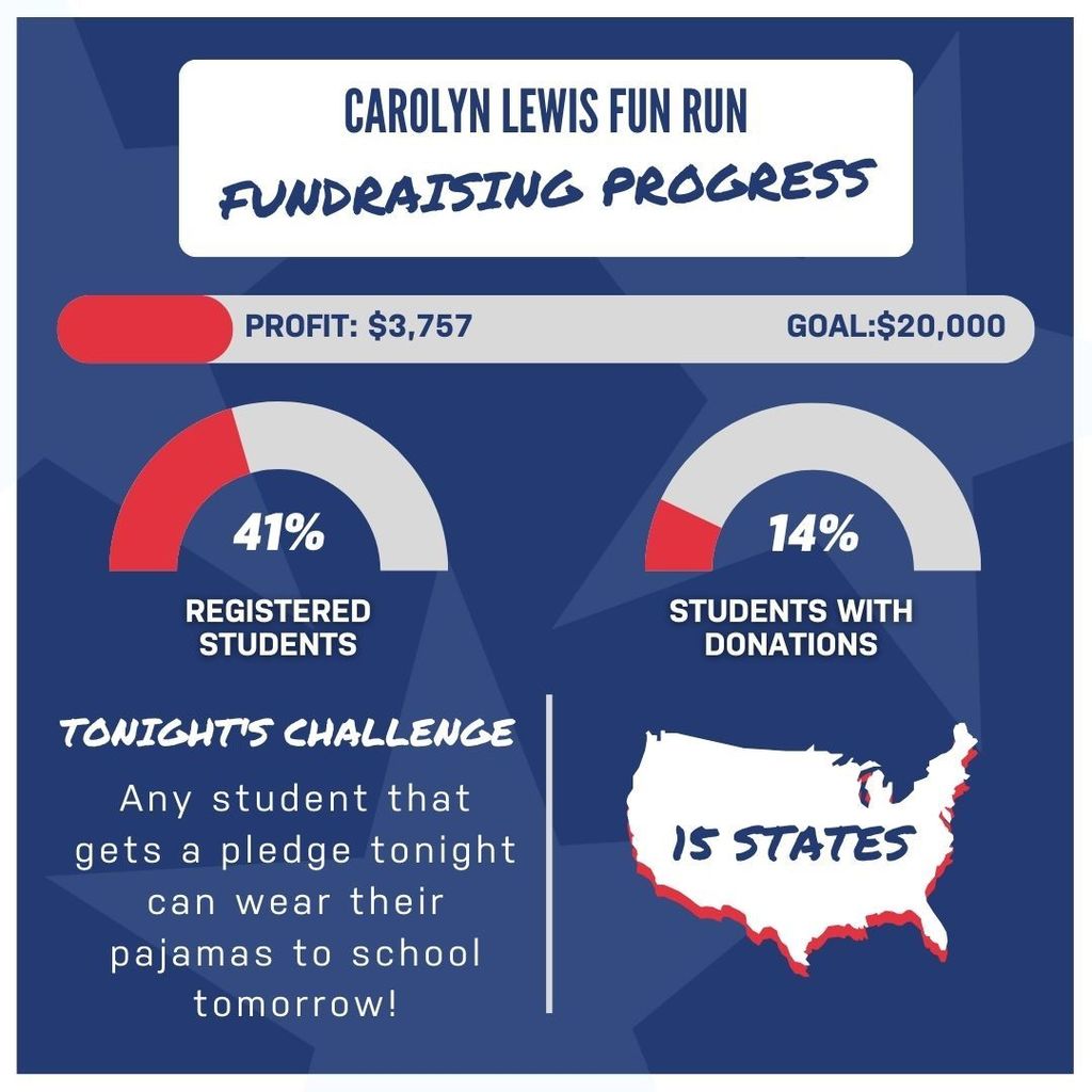 Fundraising Progress