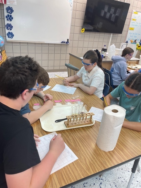 Mrs Hunter’s Accelerated Science classes used their experimental skills to determine a mystery substances provided to them. Students had fun testing the physical and chemical properties of matter to discover our mystery substance was powdered sugar!