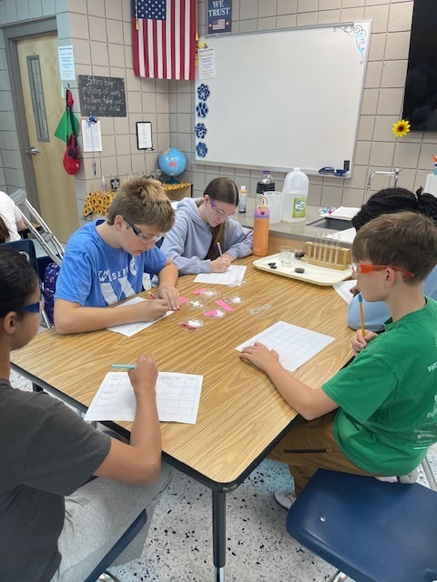 Mrs Hunter’s Accelerated Science classes used their experimental skills to determine a mystery substances provided to them. Students had fun testing the physical and chemical properties of matter to discover our mystery substance was powdered sugar!