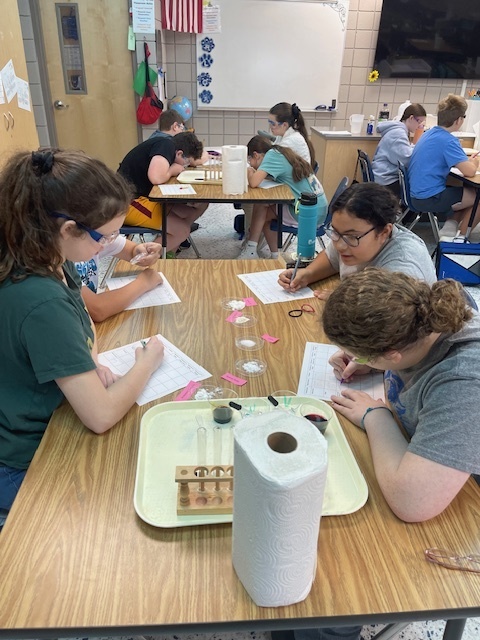 Mrs Hunter’s Accelerated Science classes used their experimental skills to determine a mystery substances provided to them. Students had fun testing the physical and chemical properties of matter to discover our mystery substance was powdered sugar!