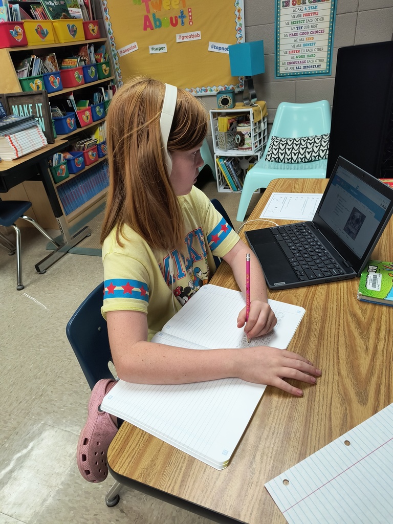 Third Grade Research