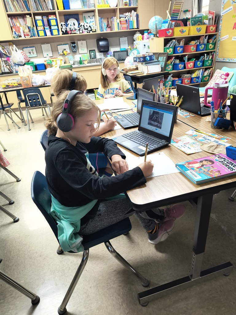 Third Grade Research