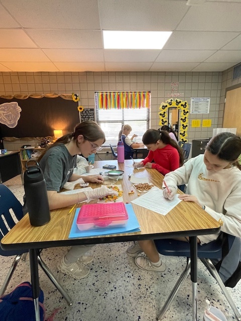 Mrs. Hunter's 7th Accelerated Sciences have been working with physical properties this week as they determined mass, volume, density, circumference, and height as they worked with some yummy and seasonal items. This was an opportunity for the students to demonstrate what they have learned during their Chemistry unit. Fun and great snacks were had by