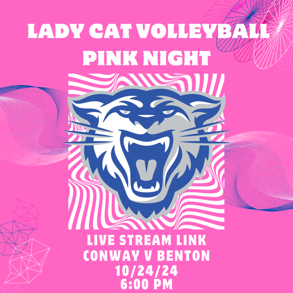 Pink Night Live Stream