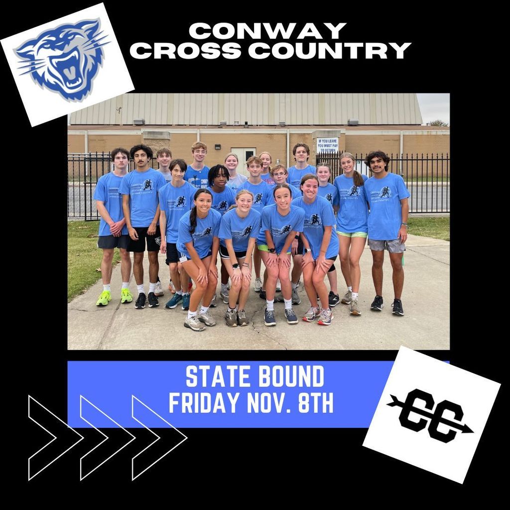 Wampus Cats run at state meet