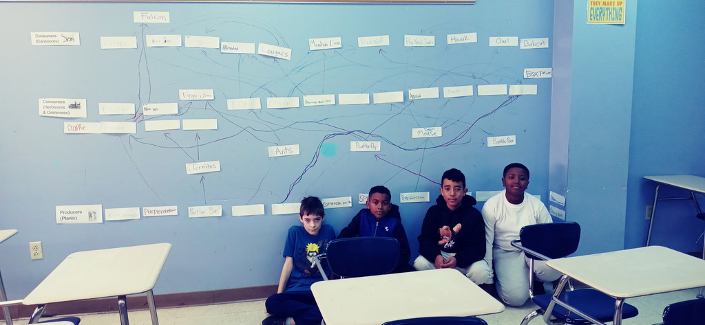 AR Food Webs Group Work