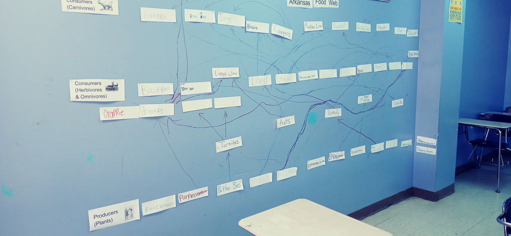 AR Food Webs Group Work