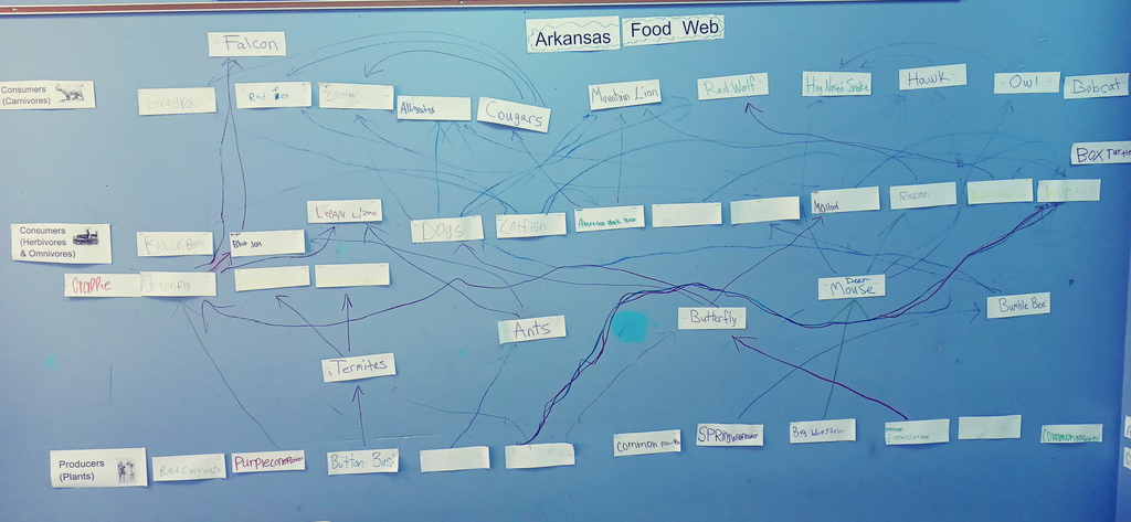 AR Food Webs Group Work