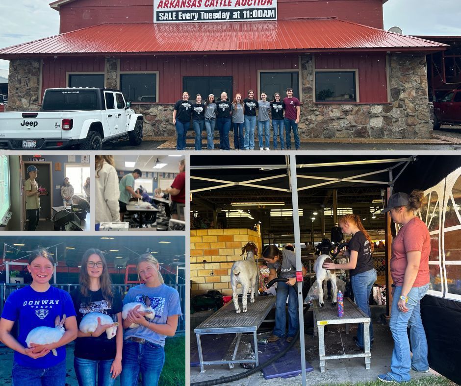 CHS Features Agriculture