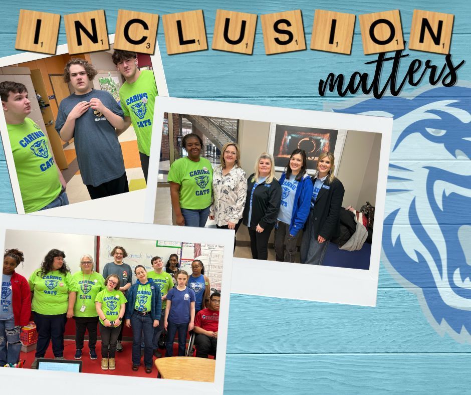 Inclusion matters