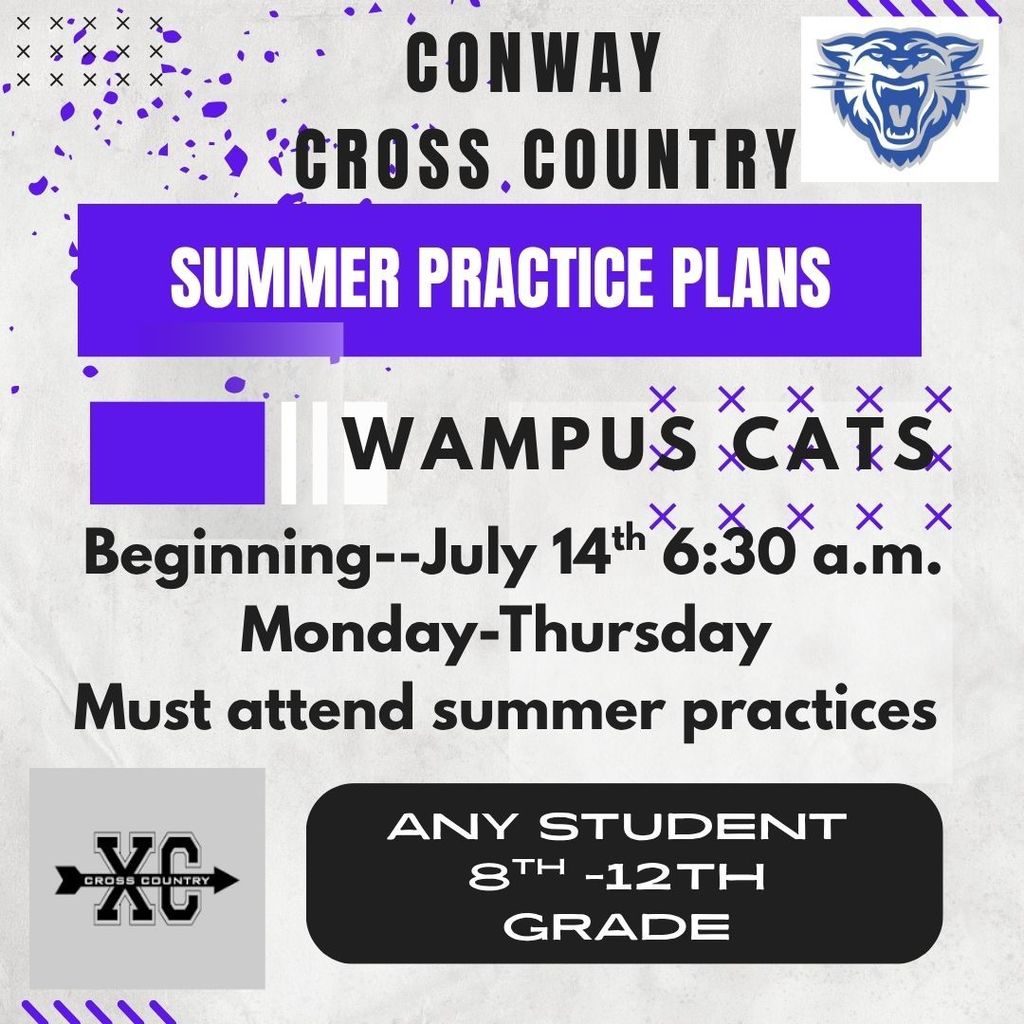 Summer Plan