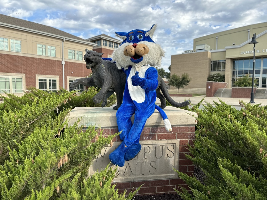 Picture of Wampus Cat