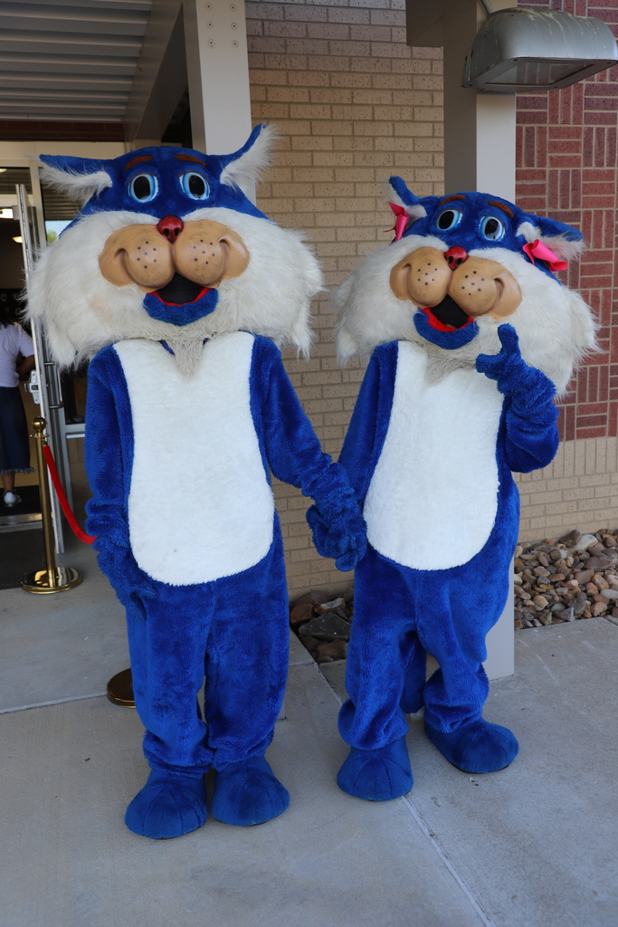 Picture of Wampus Cat