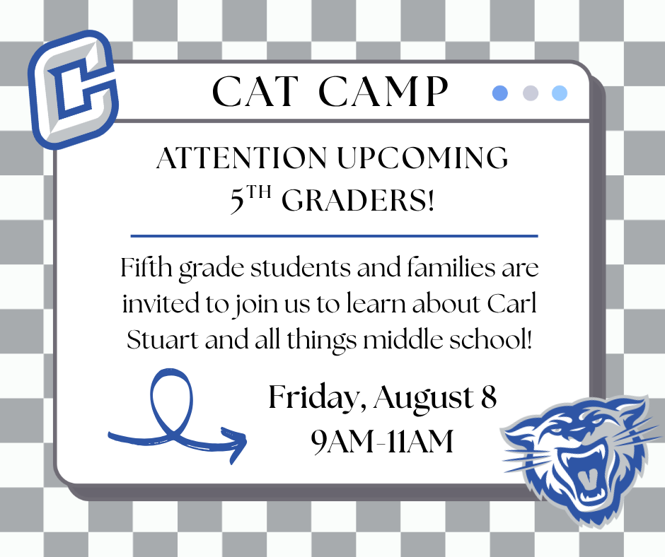 Cat Camp